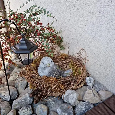 Apartament Gemuetliche Zwischen Und Bergen Brienz (Bern)