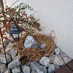 Appartamento Gemuetliche Zwischen Und Bergen Brienz (Bern)