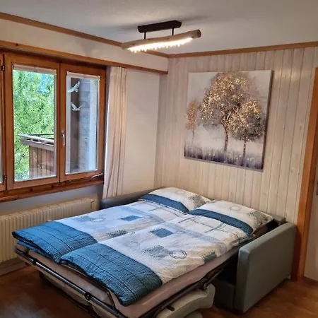 Lägenhet Gemuetliche Zwischen Und Bergen Brienz (Bern)